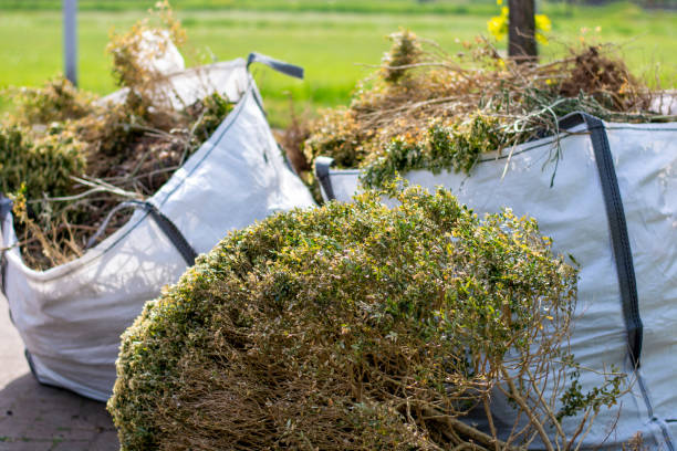 Best Commercial Cleanout Services  in Madison Lake, MN