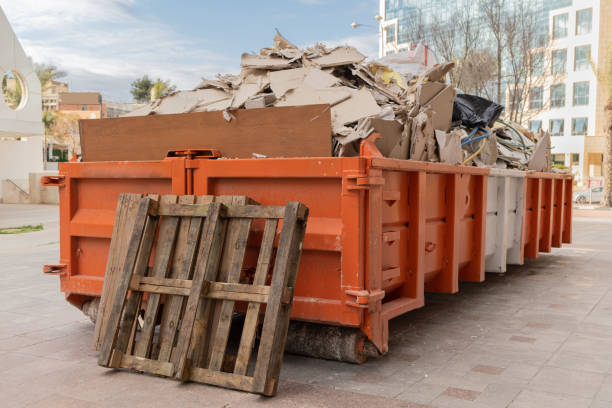 Best Appliance Removal Near Me  in Madison Lake, MN